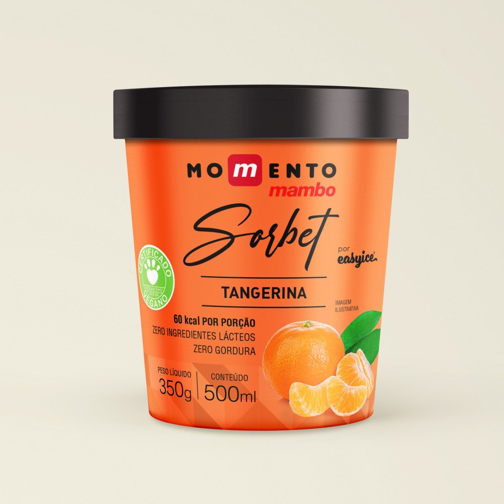 EASYICE