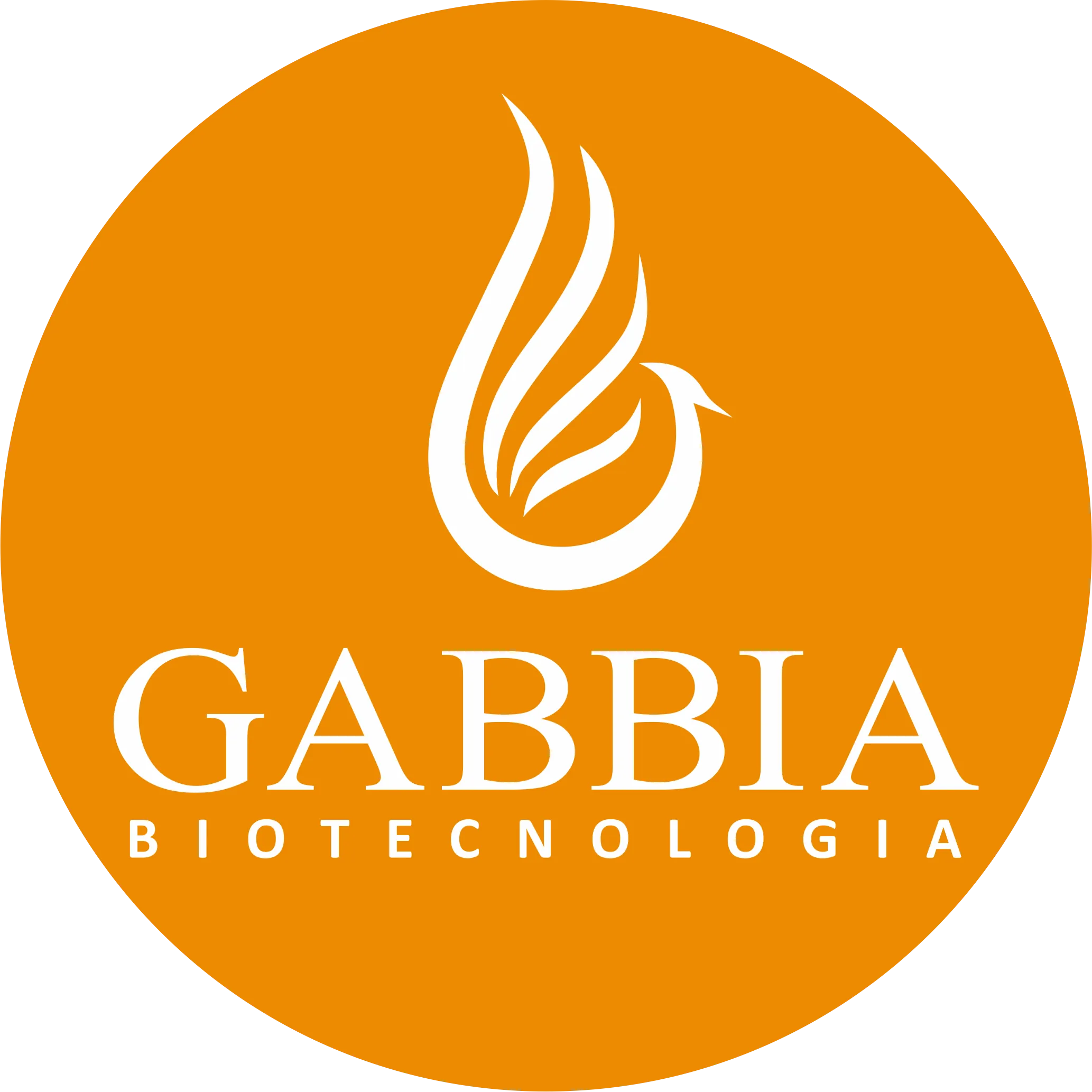 LOGO GABBIA ESFERA - LARANJAResultado